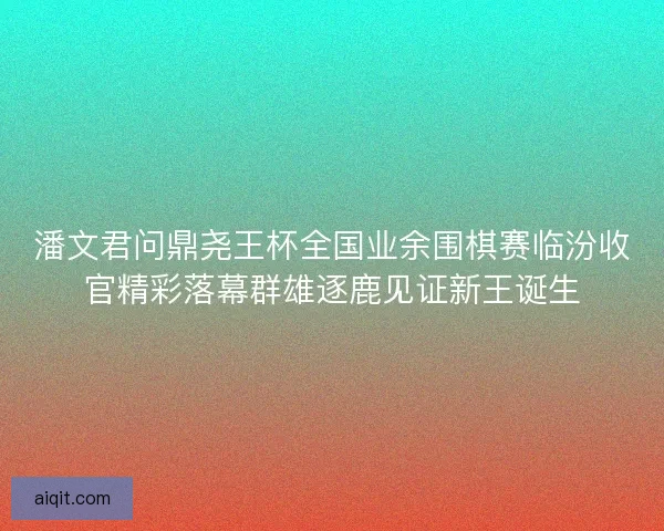 潘文君问鼎尧王杯全国业余围棋赛临汾收官精彩落幕群雄逐鹿见证新王诞生