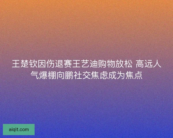 王楚钦因伤退赛王艺迪购物放松 高远人气爆棚向鹏社交焦虑成为焦点